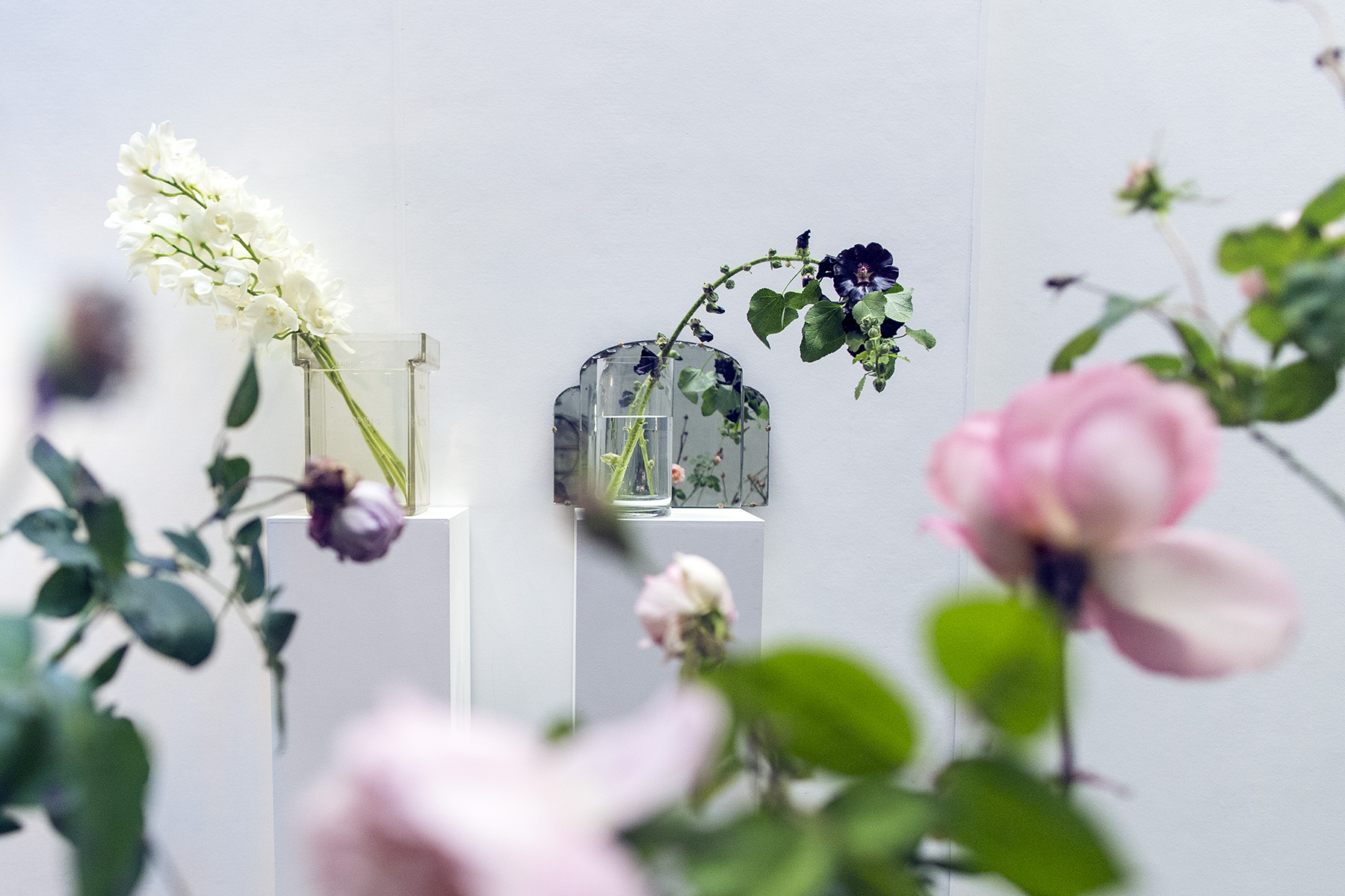 Doctor Cooper's 2015 residency at Carriageworks | Photography: Leigh Griffiths